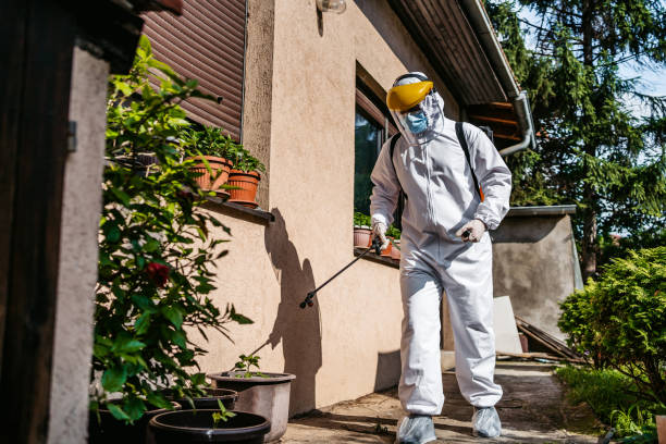 Best Affordable Pest Control Services  in New Berlin, WI