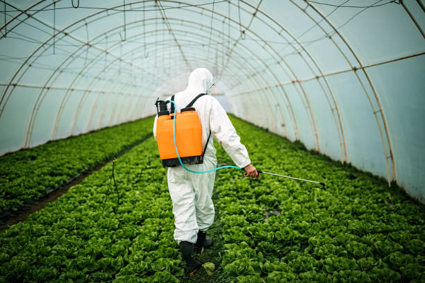 Best Pest Removal Services  in New Berlin, WI