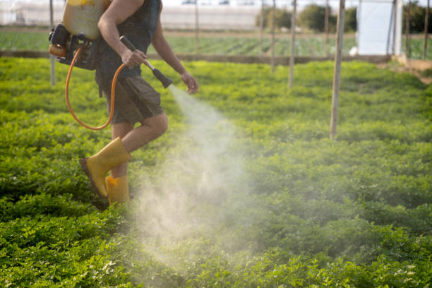 Reliable New Berlin, WI Pest Control Solutions