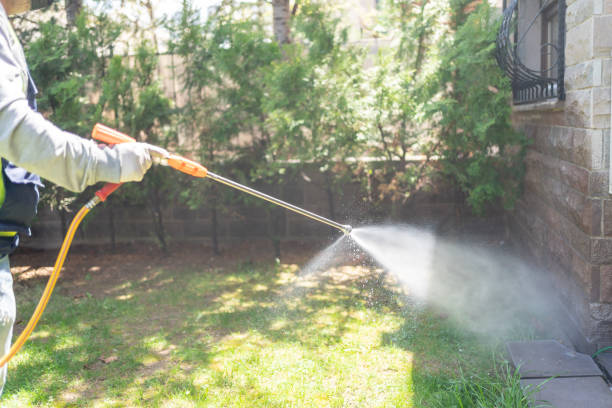 Best Flea Control Services  in New Berlin, WI