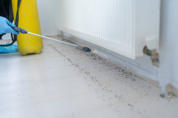 Best Affordable Pest Control Services  in New Berlin, WI