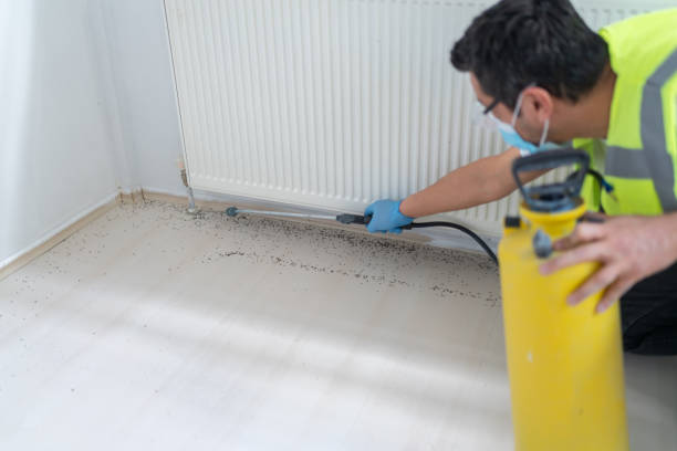 Best Pest Inspection Near Me  in New Berlin, WI