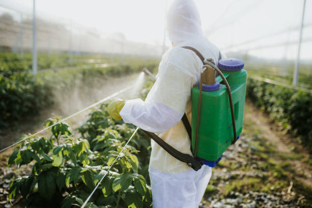  New Berlin, WI Pest Control Pros